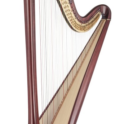 Daphne 47 EX