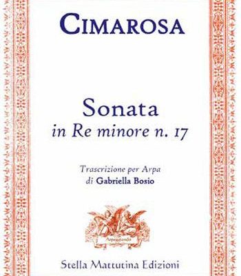 Sonata in Re minore No.17